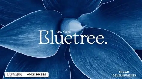 Bluetree-main-image